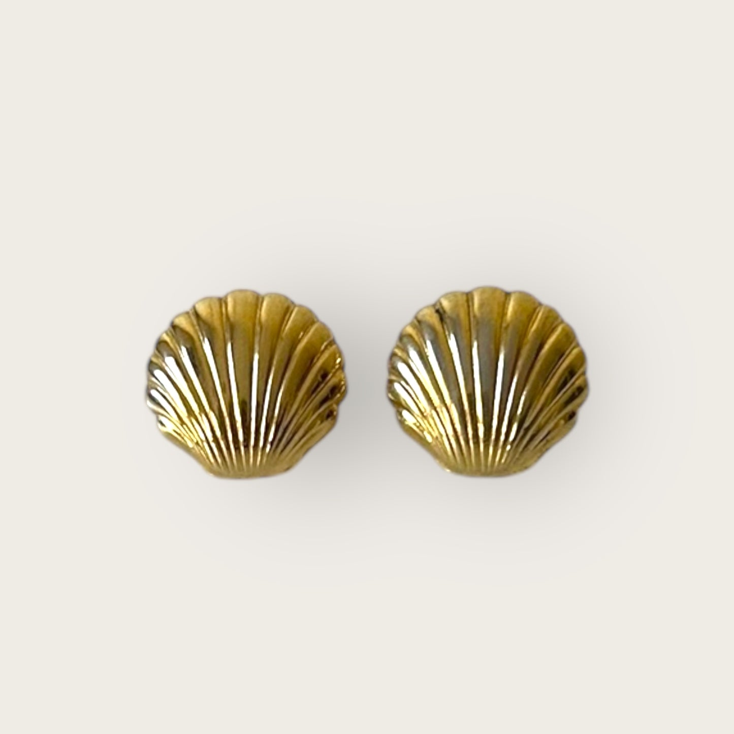 bermuda shell earrings