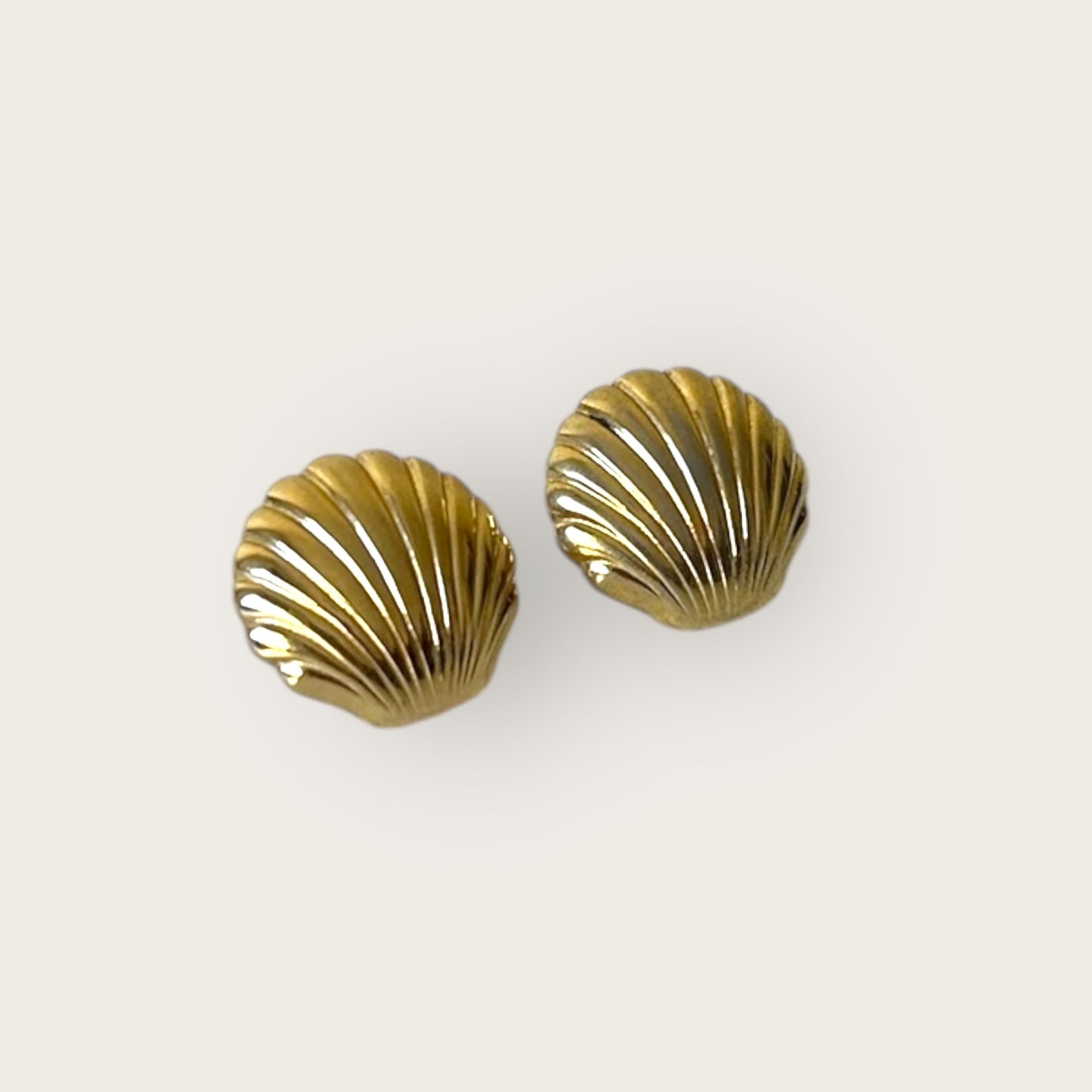 bermuda shell earrings