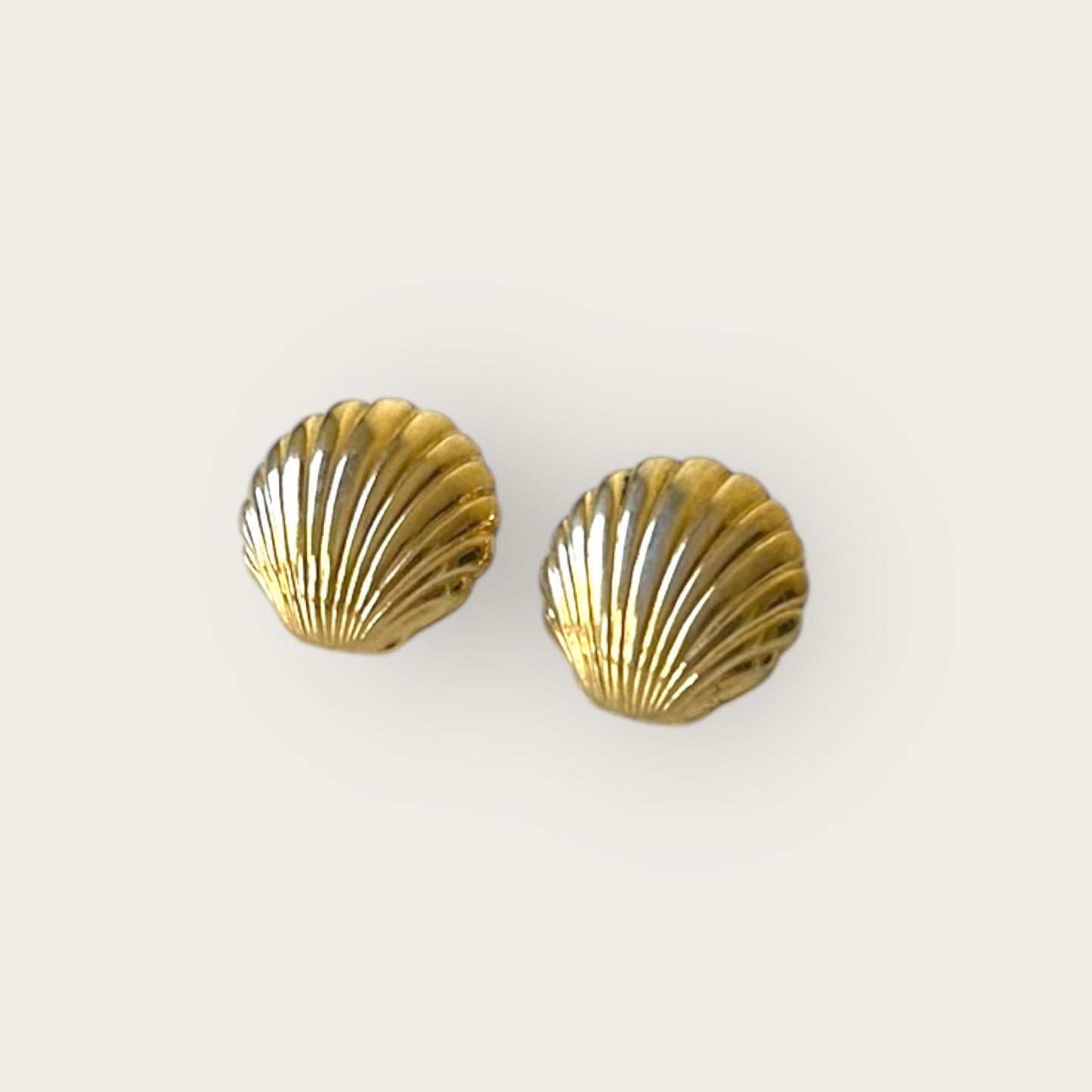 bermuda shell earrings