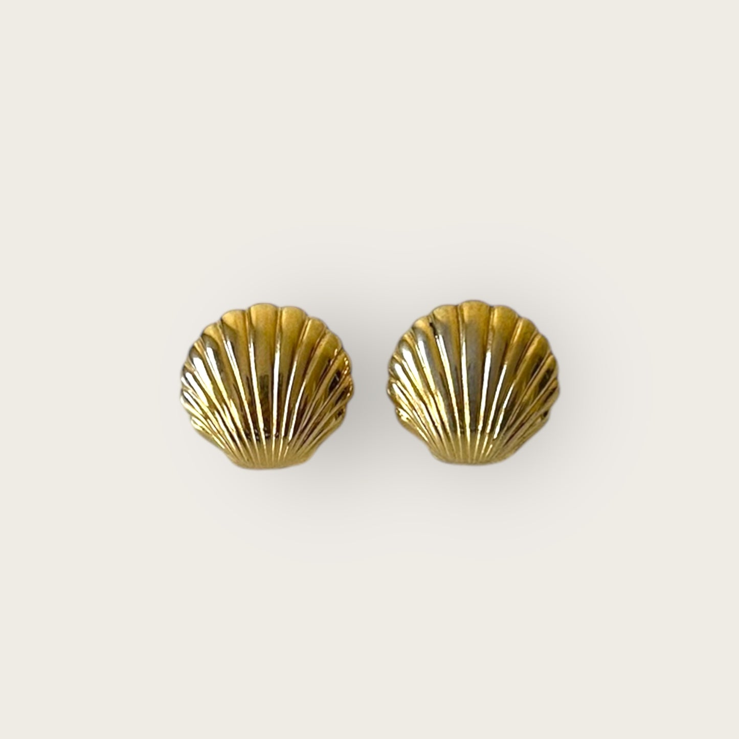 bermuda shell earrings