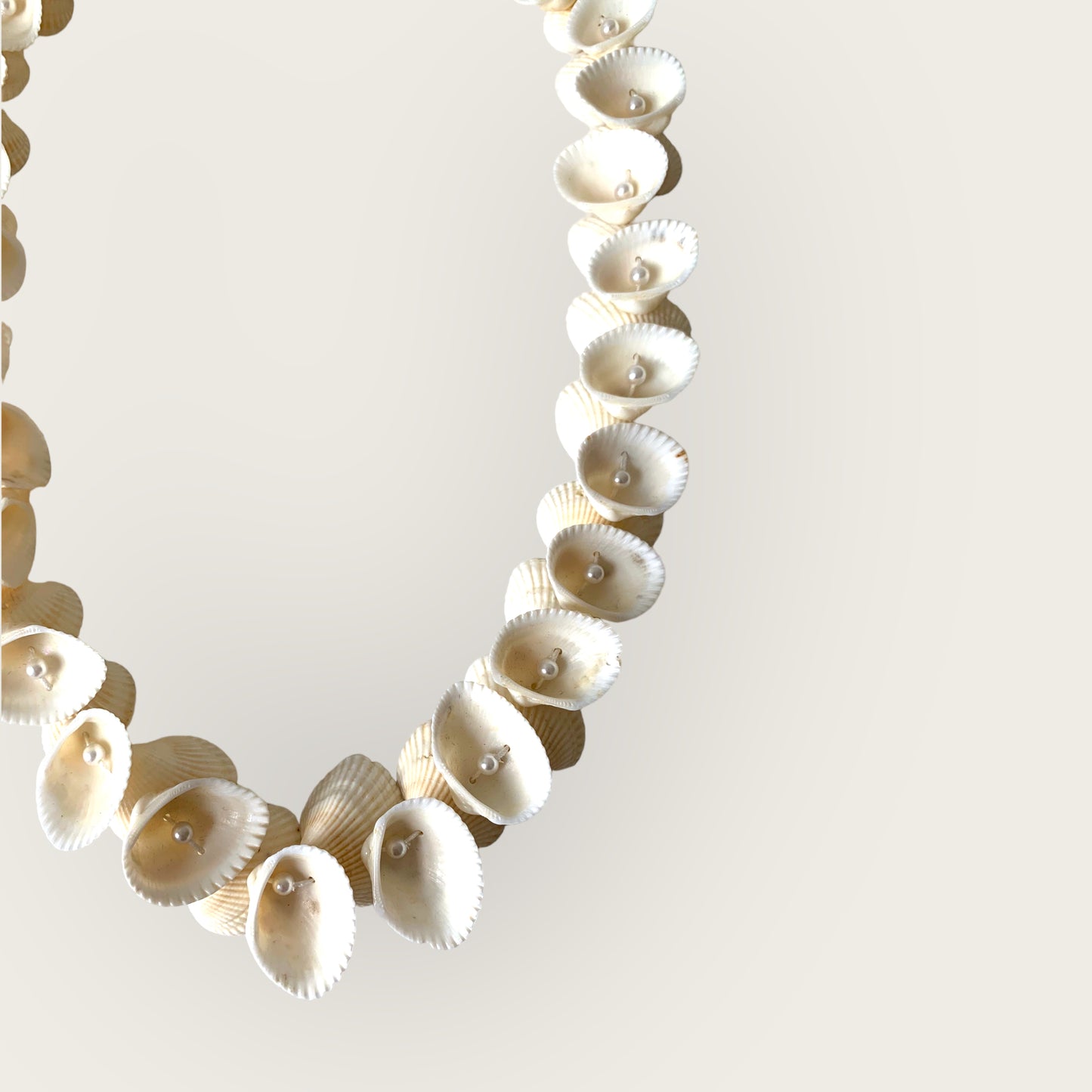 the pearl shell necklace