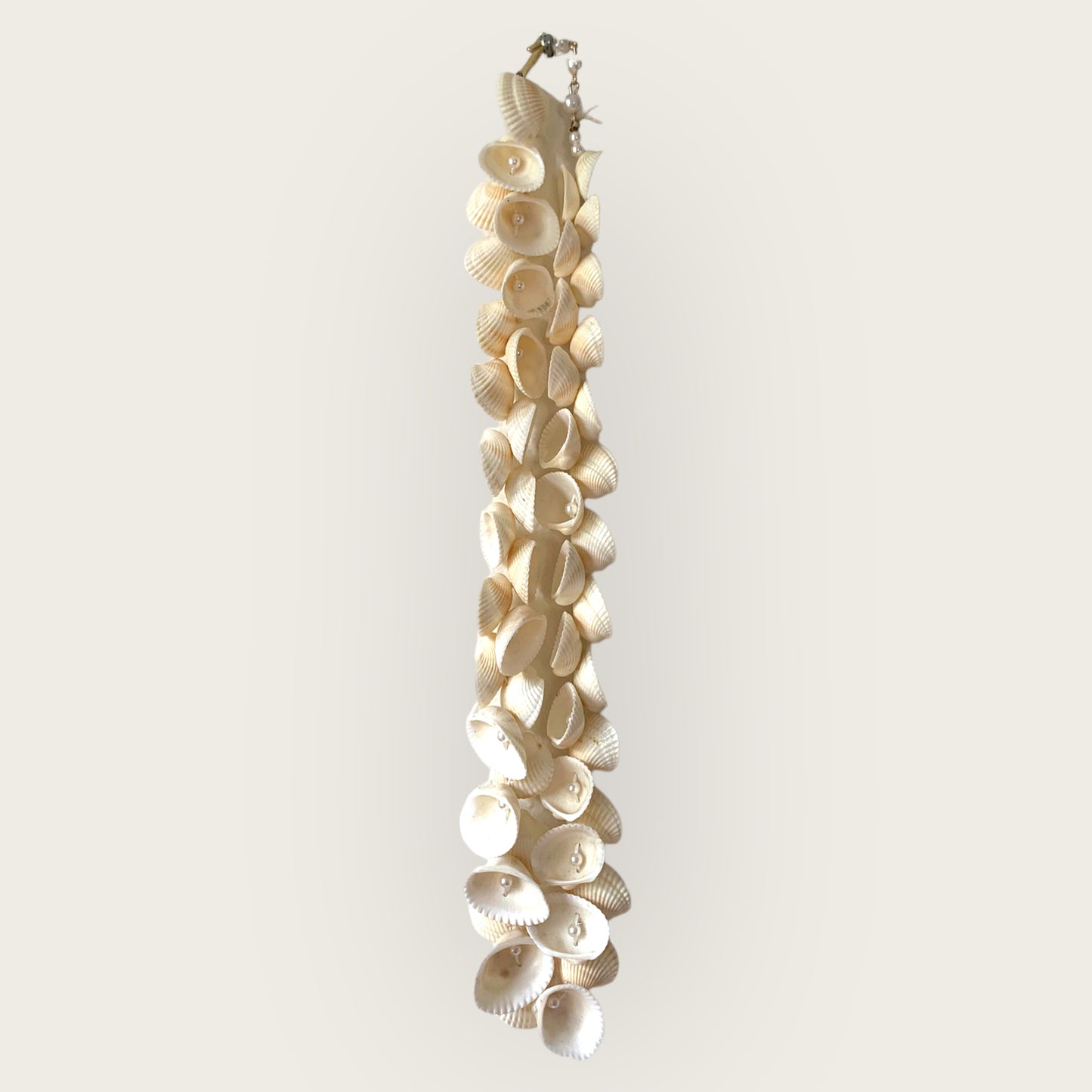 the pearl shell necklace