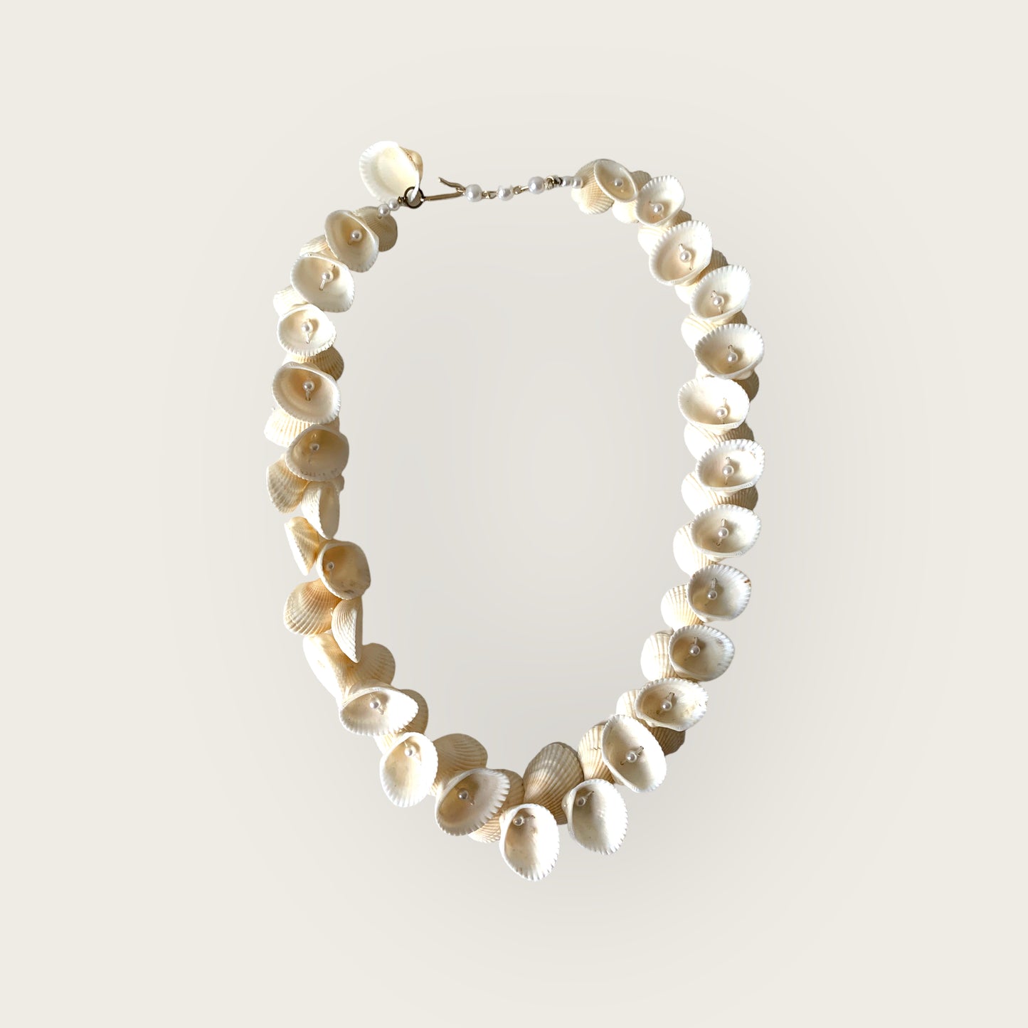 the pearl shell necklace